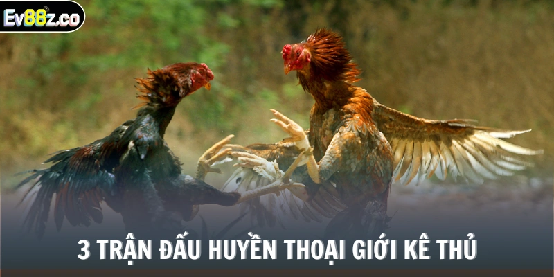 3 trận đấu huyền thoại giới kê thủ