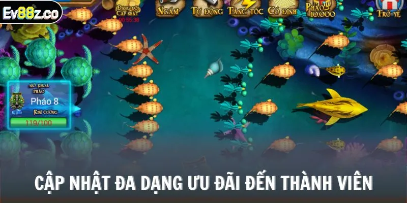 Cập nhật đa dạng ưu đãi đến thành viên