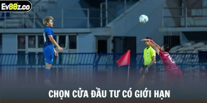 Chọn cửa đầu tư có giới hạn