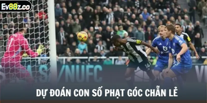 Dự đoán con số phạt góc chẵn lẻ