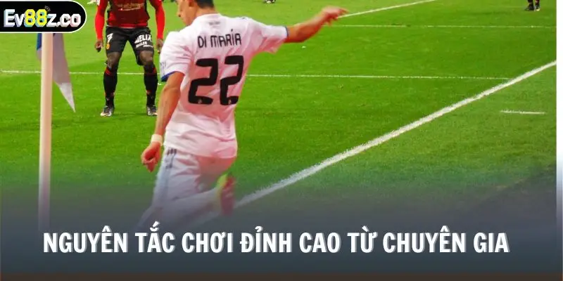 Nguyên tắc chơi đỉnh cao từ chuyên gia